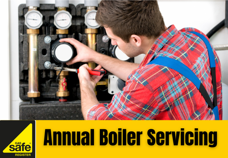 annual boiler servicing Rochester 