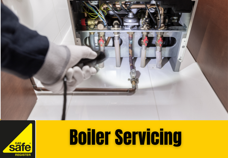 boiler service Rochester 